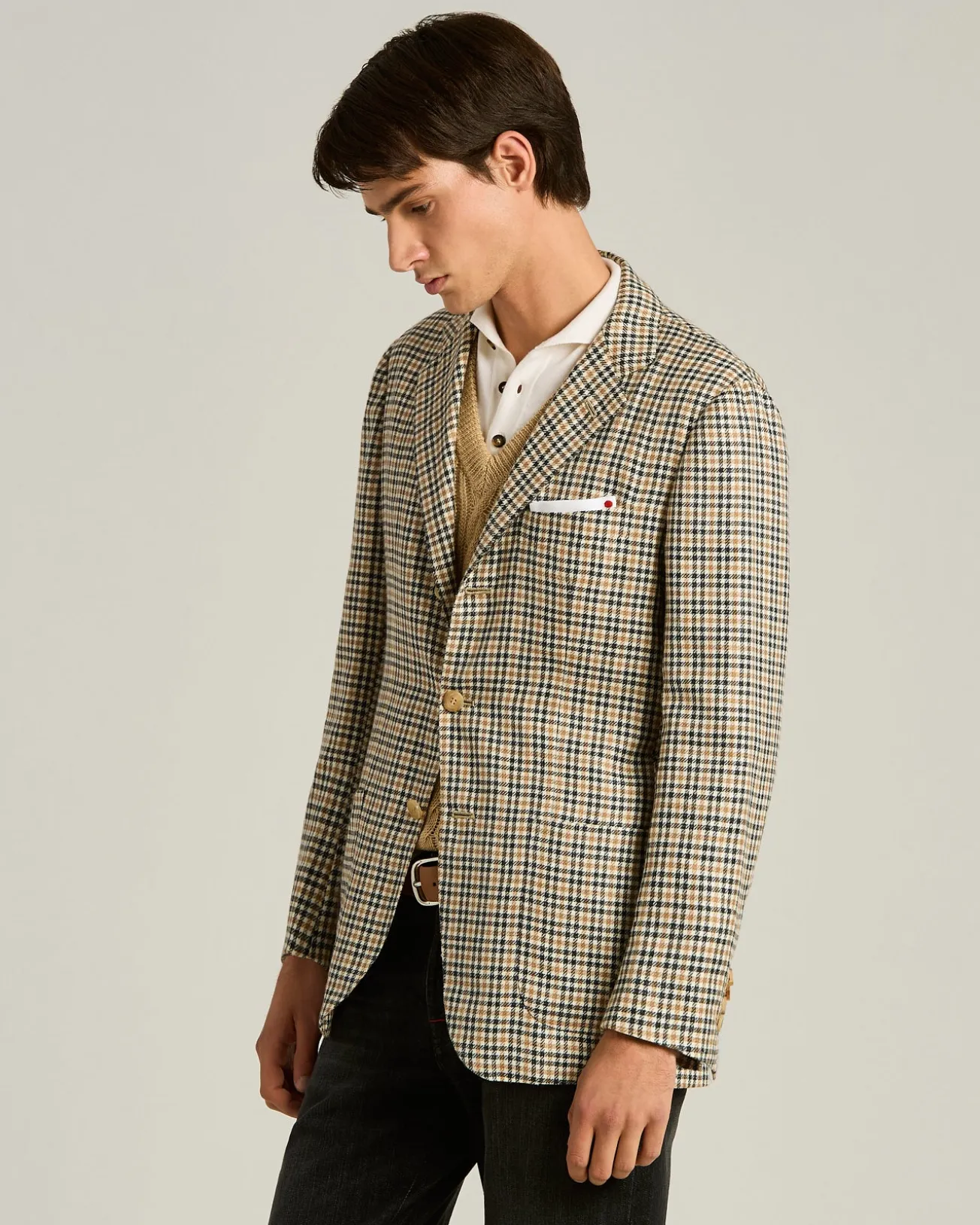 FIBER BLEND SINGLE-BREASTED JACKET WITH TAILORED MICRO PATTERN IN BEIGE CASHMERE
